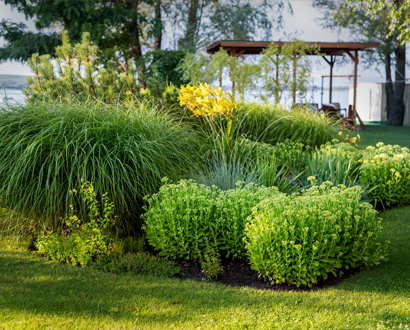 How to Make a Simple Rain Garden to Solve Stormwater Problems